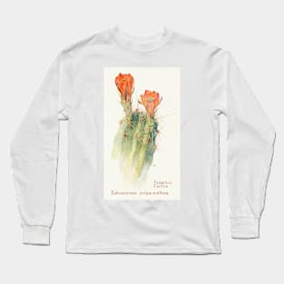 Scarlet hedgehog cactus - Botanical Illustration Long Sleeve T-Shirt